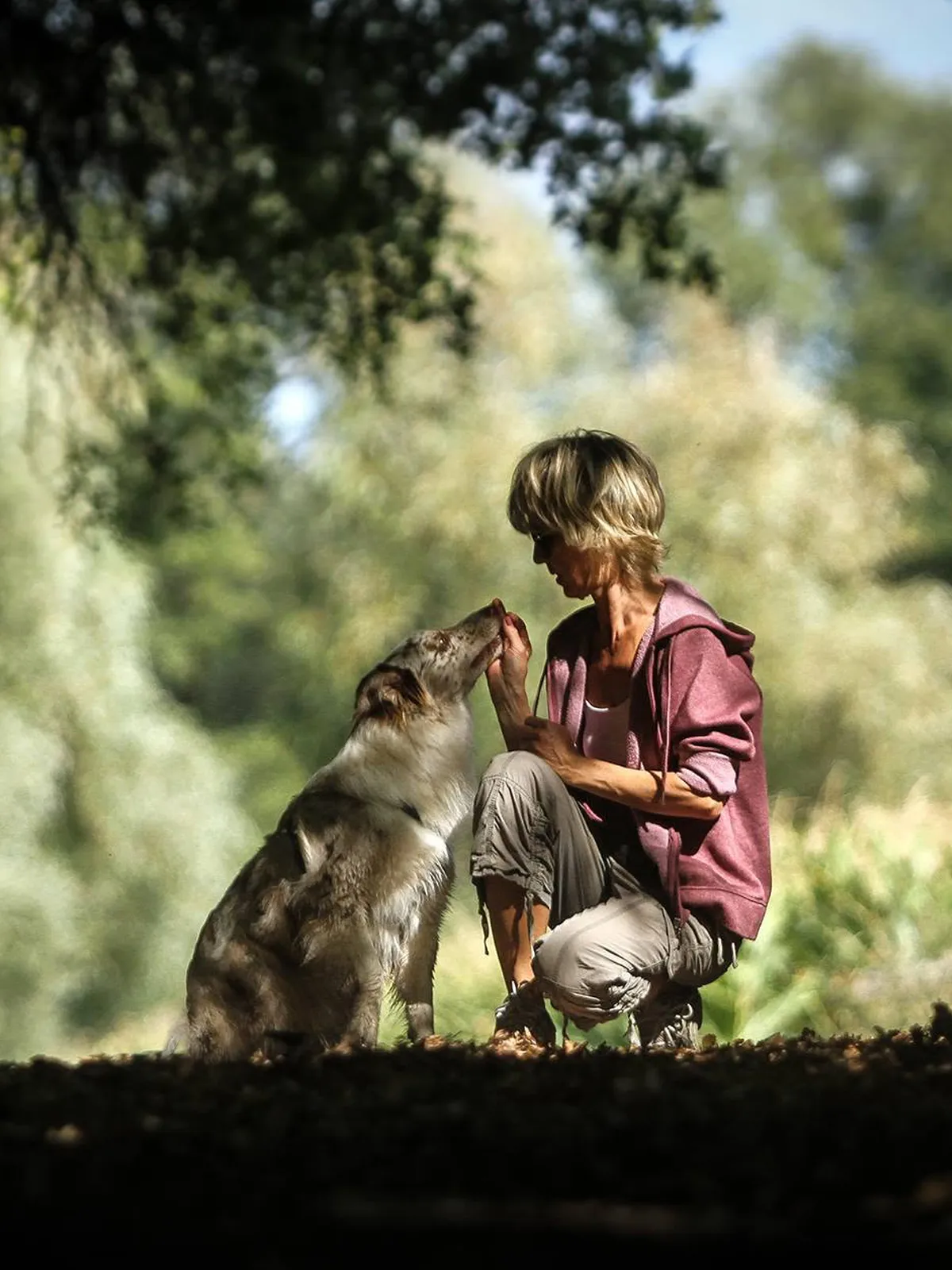 Frau und Hund begegnen sich auf einem Waldweg
