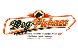 Dog Pictures